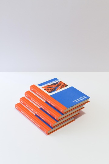 Kniha – Ilustrovaná Ústava České republiky